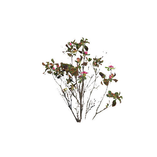 Prefab_rhododendron_03