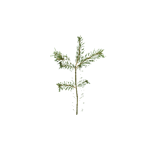 VS_Prefab_pine_plant_00_A