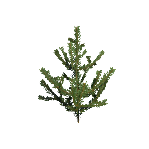 VS_Prefab_pine_plant_01