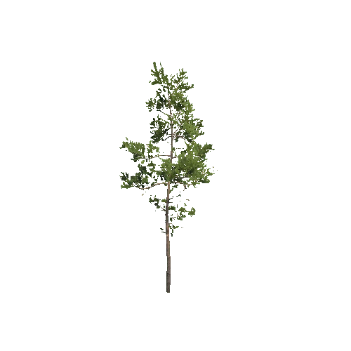 VS_Prefab_pine_tree_00_C