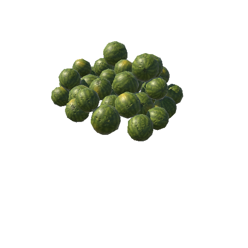 DT_Watermelons_06