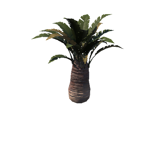 Palm_04