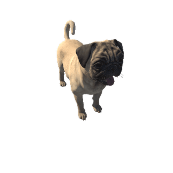 Pug_LOD