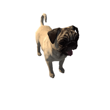 Pug_LowPoly