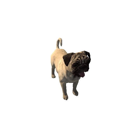 Pug_LowPoly