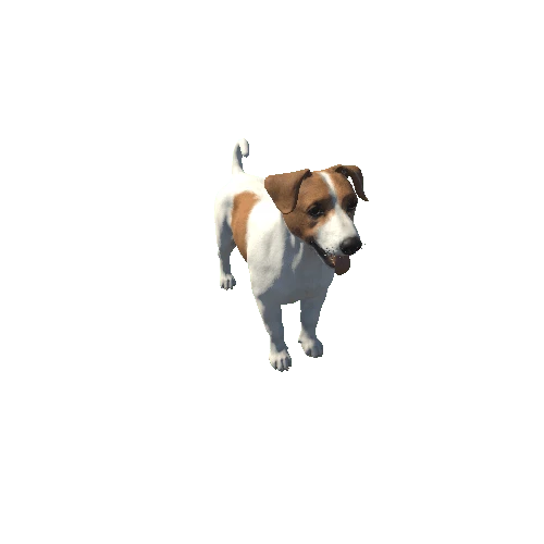 JR_Terrier_HighPoly