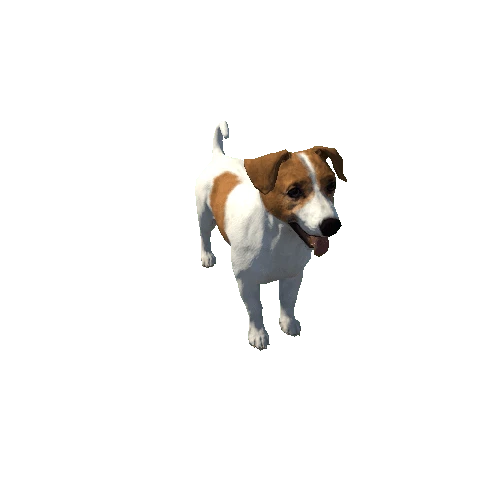 JR_Terrier_LowPoly