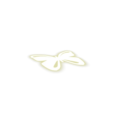 Butterfly_A