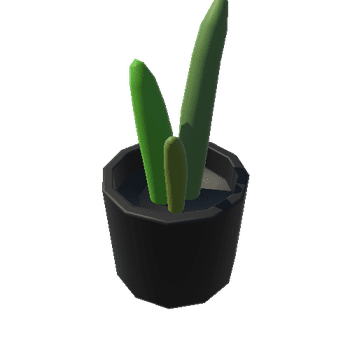 Cactus_01_BlackRound