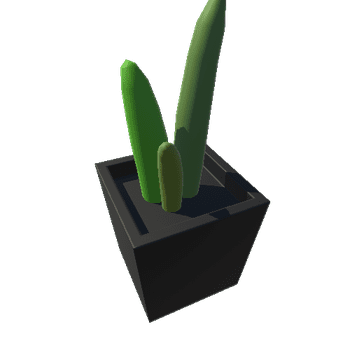 Cactus_01_BlackSquare