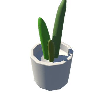 Cactus_01_BlankRound