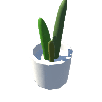 Cactus_01_WhiteRound