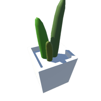 Cactus_01_WhiteSquare