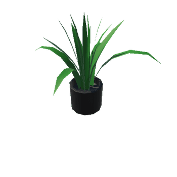 Plant_02_BlackRound