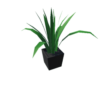 Plant_02_BlackSquare