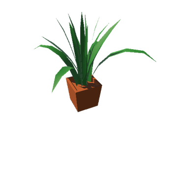 Plant_02_TerracottaSquare