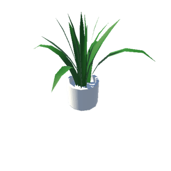 Plant_02_WhiteRound