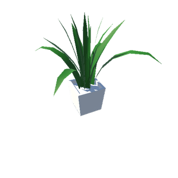 Plant_02_WhiteSquare