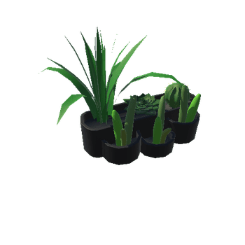 PlantsLarge_BlackRound_1