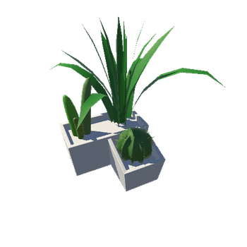 PlantsLarge_BlankSquare