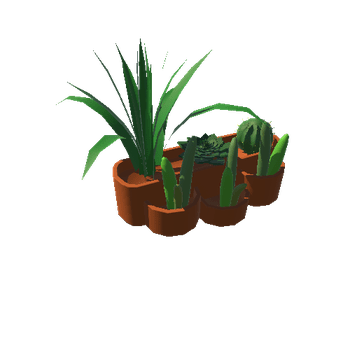 PlantsLarge_TerracottaRound