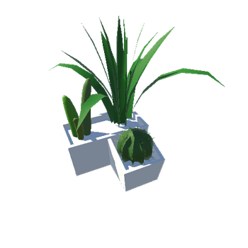 PlantsLarge_WhiteSquare