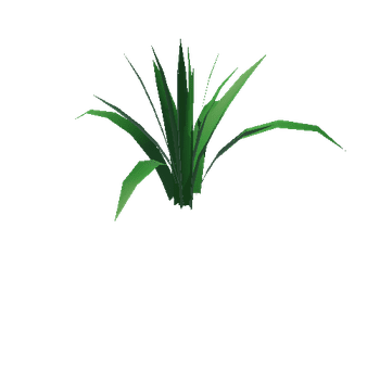 plant_02_1