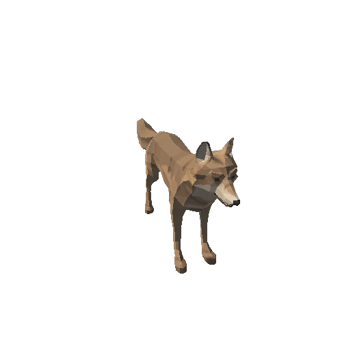 Unity_SK_Animals_Dog_Coyote_01