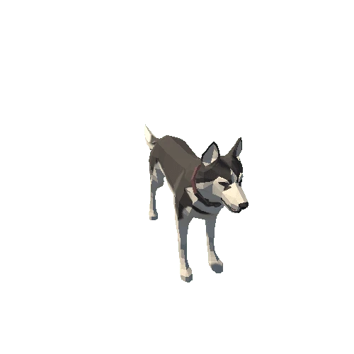 Unity_SK_Animals_Dog_Husky_Collar_01