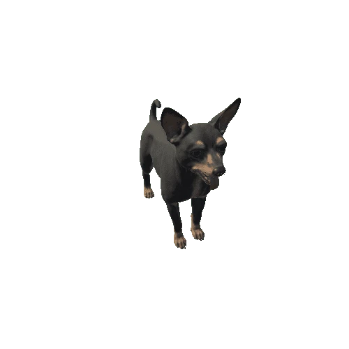 Toy_Terrier_HighPoly