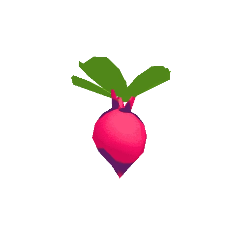 Beetroot