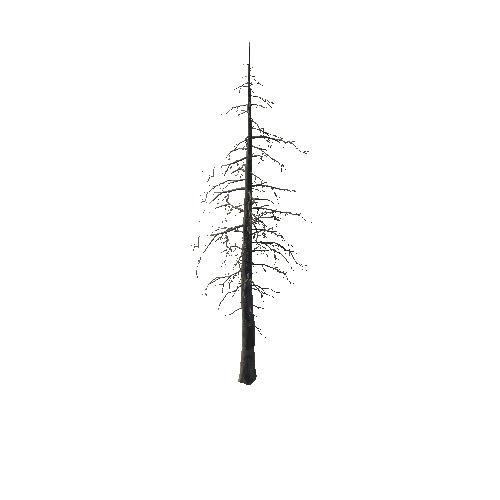 SM_Dead_Pine_01