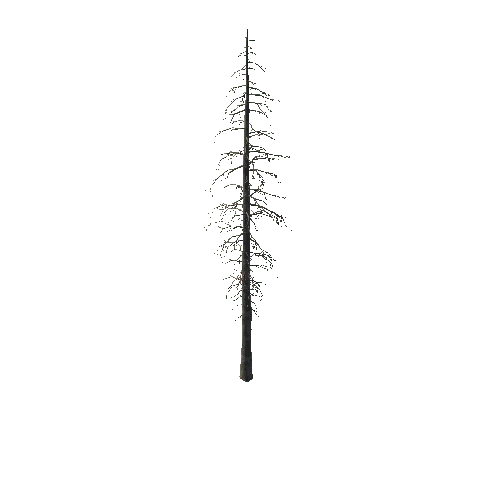 SM_Dead_Pine_02