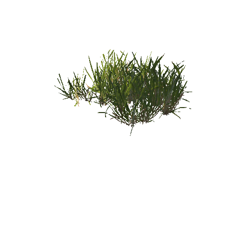 Grass12_prefab