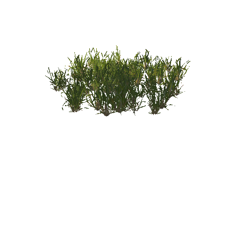 Grass13_prefab