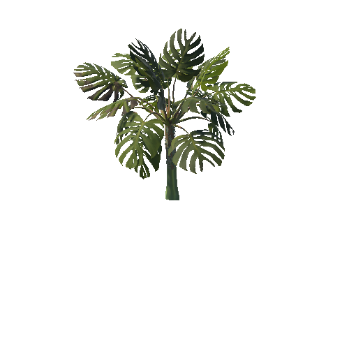 Monstera1_prefab