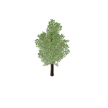 LP_Tree