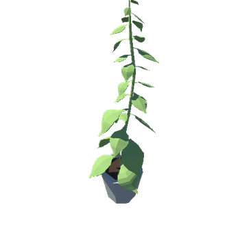 Plant_03_A