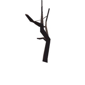 Tree_01_T