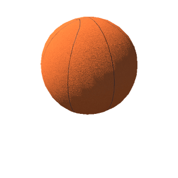 basketball_standard