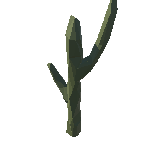 SM_cactus_01