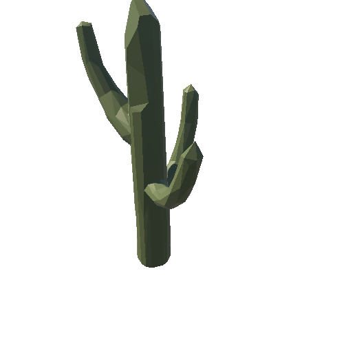 SM_cactus_02