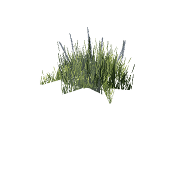 SM_Veg_Plant_Grass_03_1