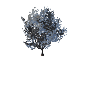 SM_Veg_Tree_A_01_1
