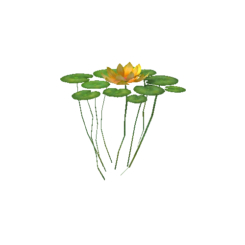 Waterlily2