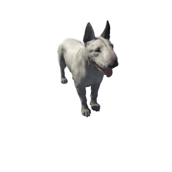 Bull_Terrier_HighPoly