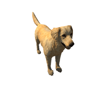 G_Retriever_LowPoly