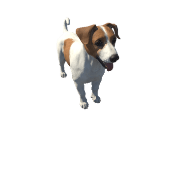 JR_Terrier_HighPoly