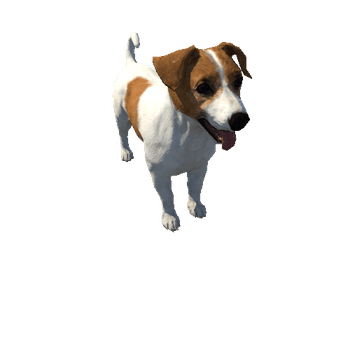 JR_Terrier_LowPoly