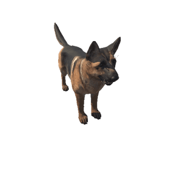 Shepherd_HighPoly